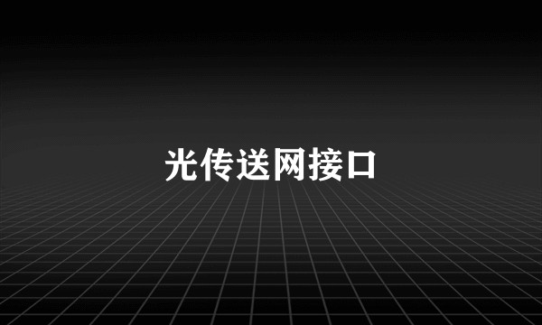 光传送网接口