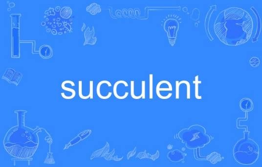 succulent