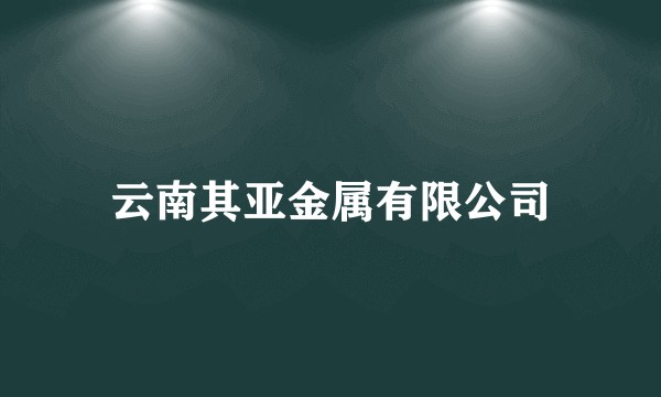 云南其亚金属有限公司
