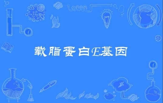 载脂蛋白E基因