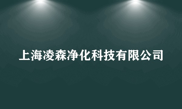 上海凌森净化科技有限公司