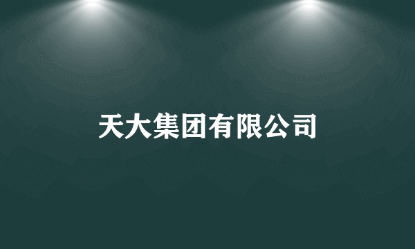 天大集团有限公司