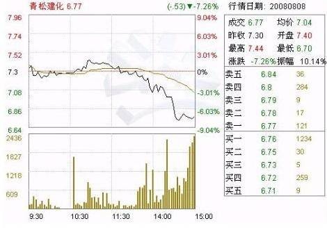 其他资本公积