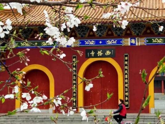 西塔寺（湖北省天门西塔寺）