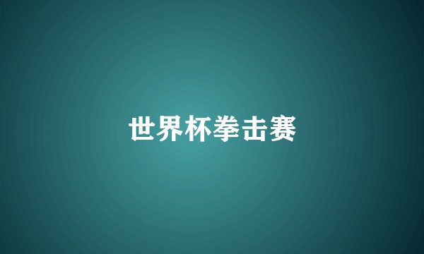 世界杯拳击赛