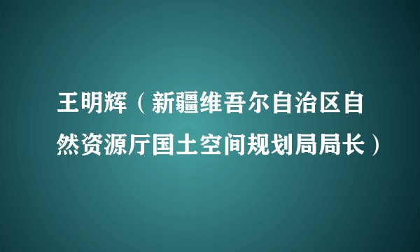 王明辉（新疆维吾尔自治区自然资源厅国土空间规划局局长）