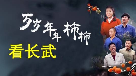 长平县（电视剧虚构城市）