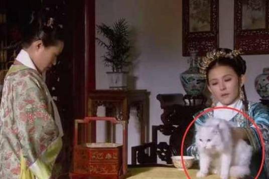 团绒