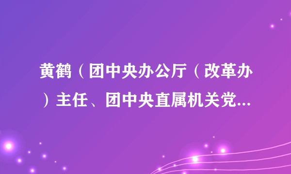 黄鹤（团中央办公厅（改革办）主任、团中央直属机关党委副书记，团十八届、十九届中央委员、常委）