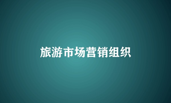 旅游市场营销组织