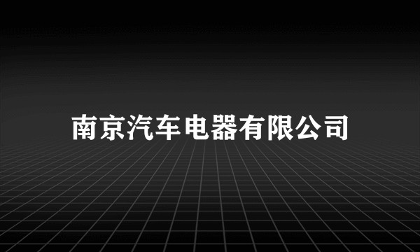 南京汽车电器有限公司