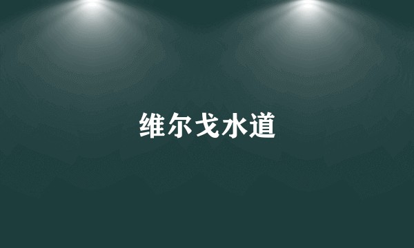维尔戈水道