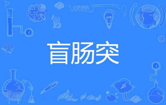 盲肠突