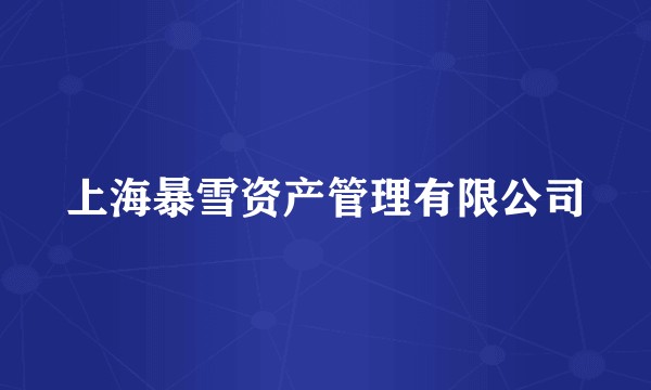 上海暴雪资产管理有限公司