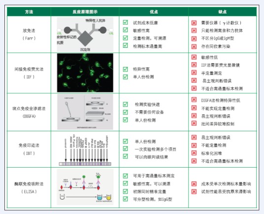 抗DNA抗体