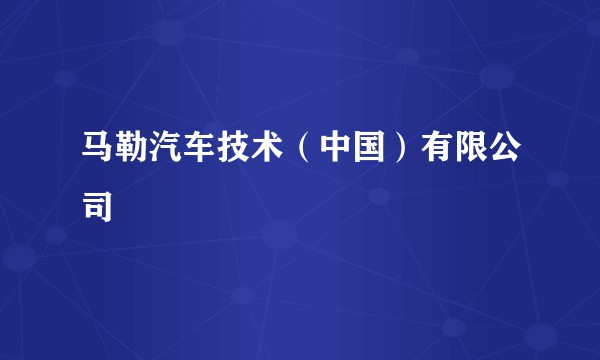 马勒汽车技术（中国）有限公司