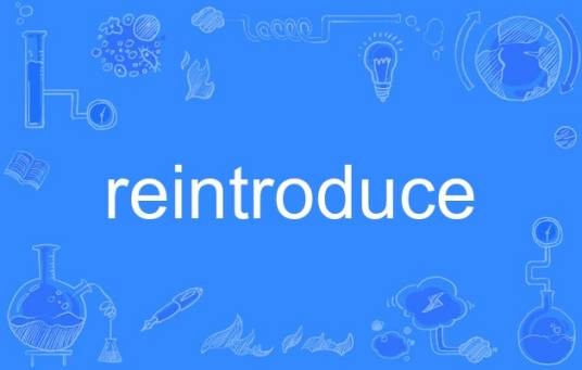 reintroduce