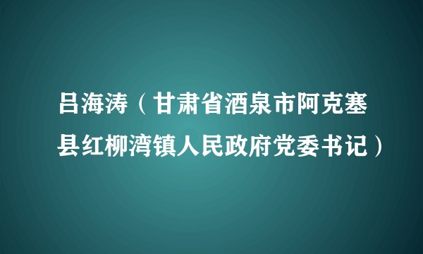 吕海涛（甘肃省酒泉市阿克塞县红柳湾镇人民政府党委书记）