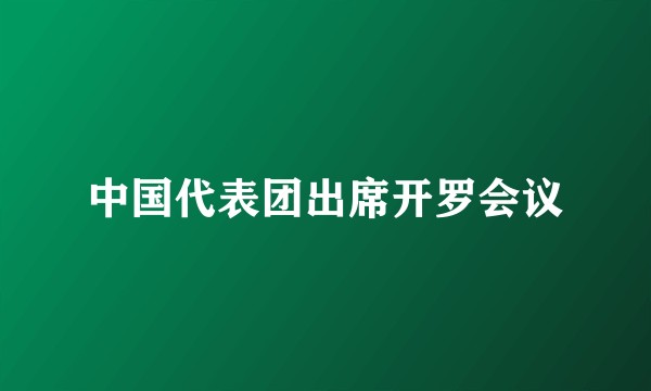 中国代表团出席开罗会议