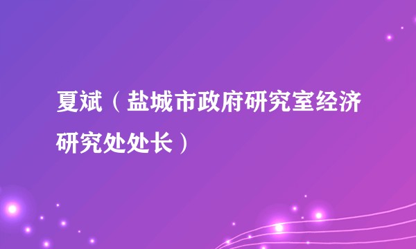 夏斌（盐城市政府研究室经济研究处处长）
