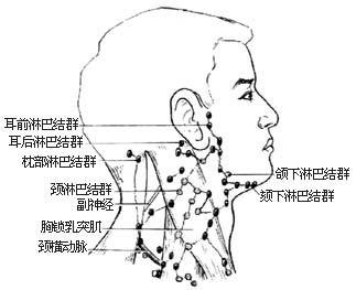 颈部淋巴结切除术