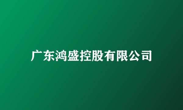 广东鸿盛控股有限公司