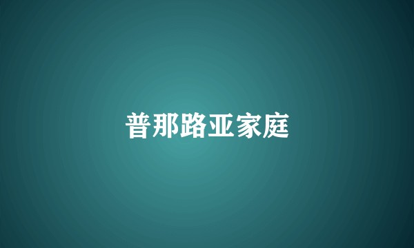 普那路亚家庭