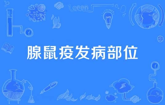 腺鼠疫发病部位