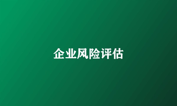 企业风险评估
