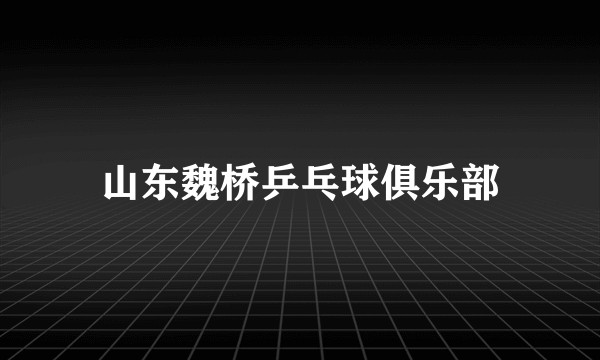 山东魏桥乒乓球俱乐部
