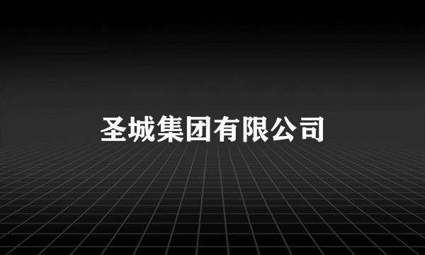 圣城集团有限公司