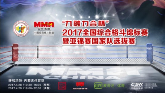 全国综合格斗锦标赛