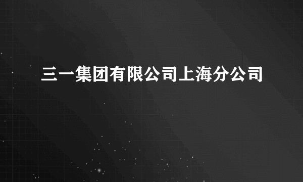 三一集团有限公司上海分公司