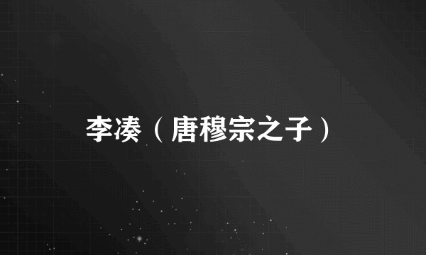 李凑（唐穆宗之子）