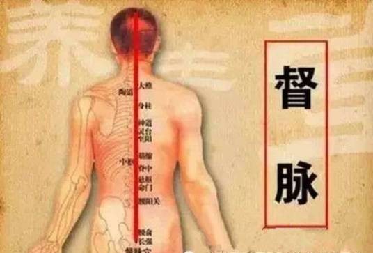 督脉之络