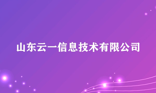 山东云一信息技术有限公司