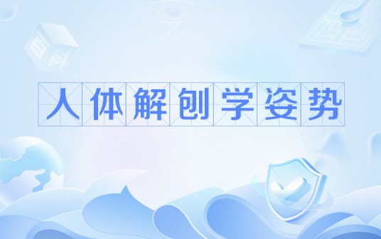 人体解剖学姿势