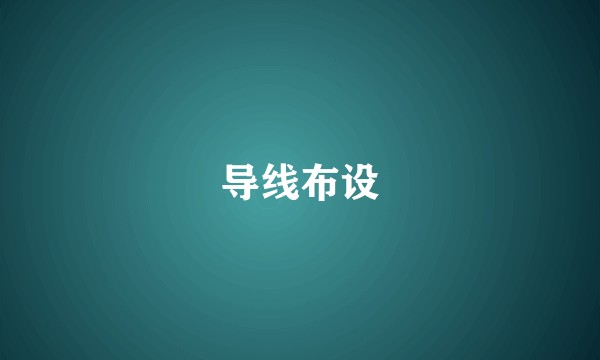 导线布设