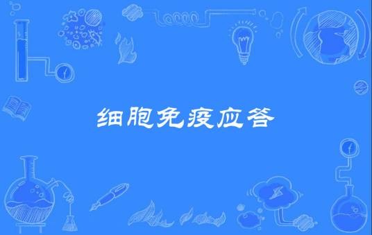 细胞免疫应答