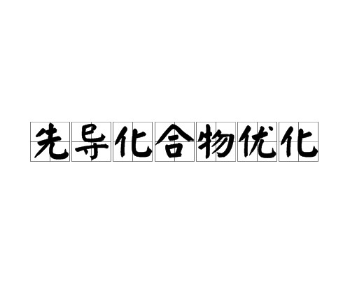 先导化合物优化