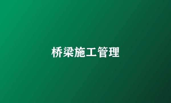 桥梁施工管理