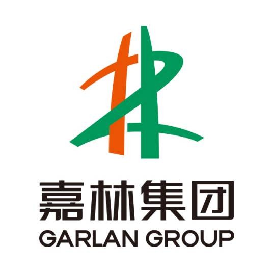 嘉林建设集团有限公司