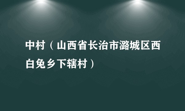 中村（山西省长治市潞城区西白兔乡下辖村）