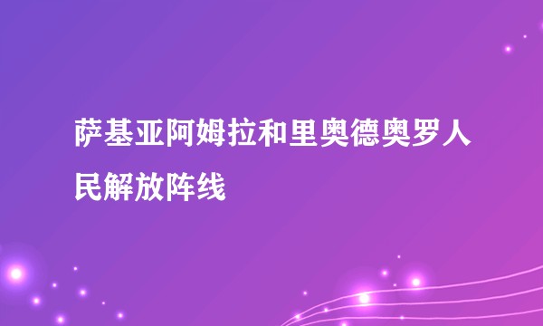 萨基亚阿姆拉和里奥德奥罗人民解放阵线