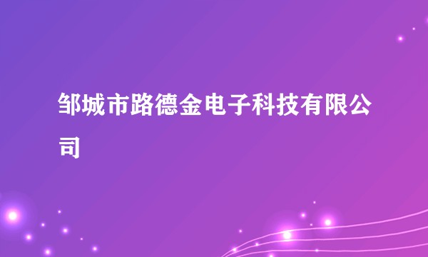 邹城市路德金电子科技有限公司