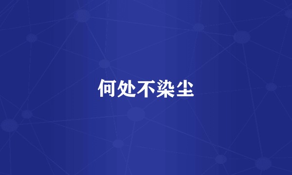 何处不染尘