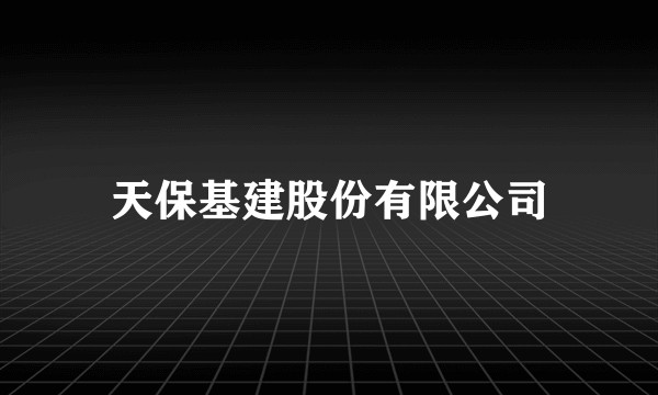 天保基建股份有限公司