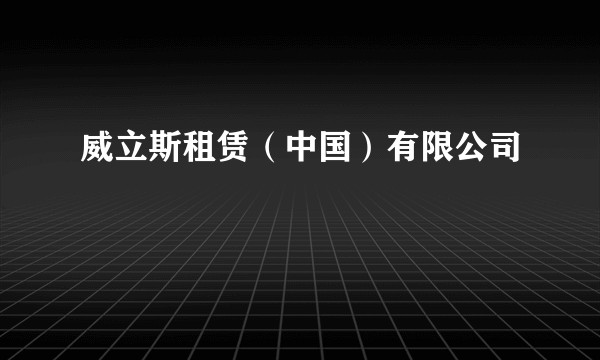 威立斯租赁（中国）有限公司