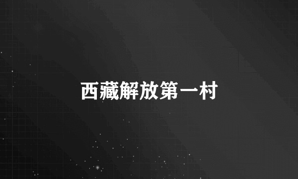 西藏解放第一村