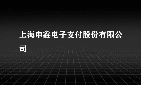 上海申鑫电子支付股份有限公司
